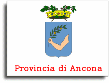 Centri assistenza Rex Ancona
